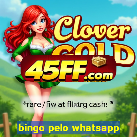 bingo pelo whatsapp